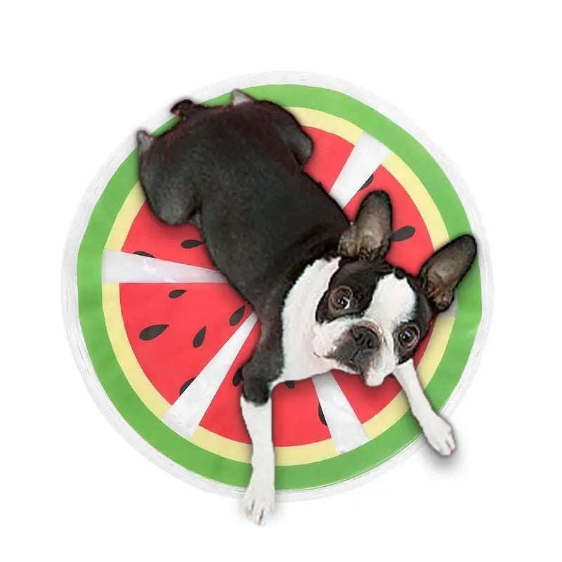 Fruit Pattern Pet Cooler Cushion