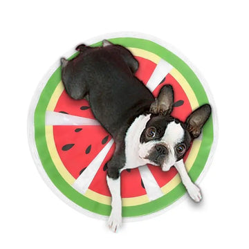 Fruit Pattern Pet Cooler Cushion