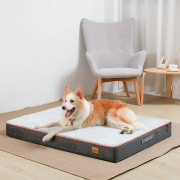 Premium Large Orthopedic Memory Foam Dog Be